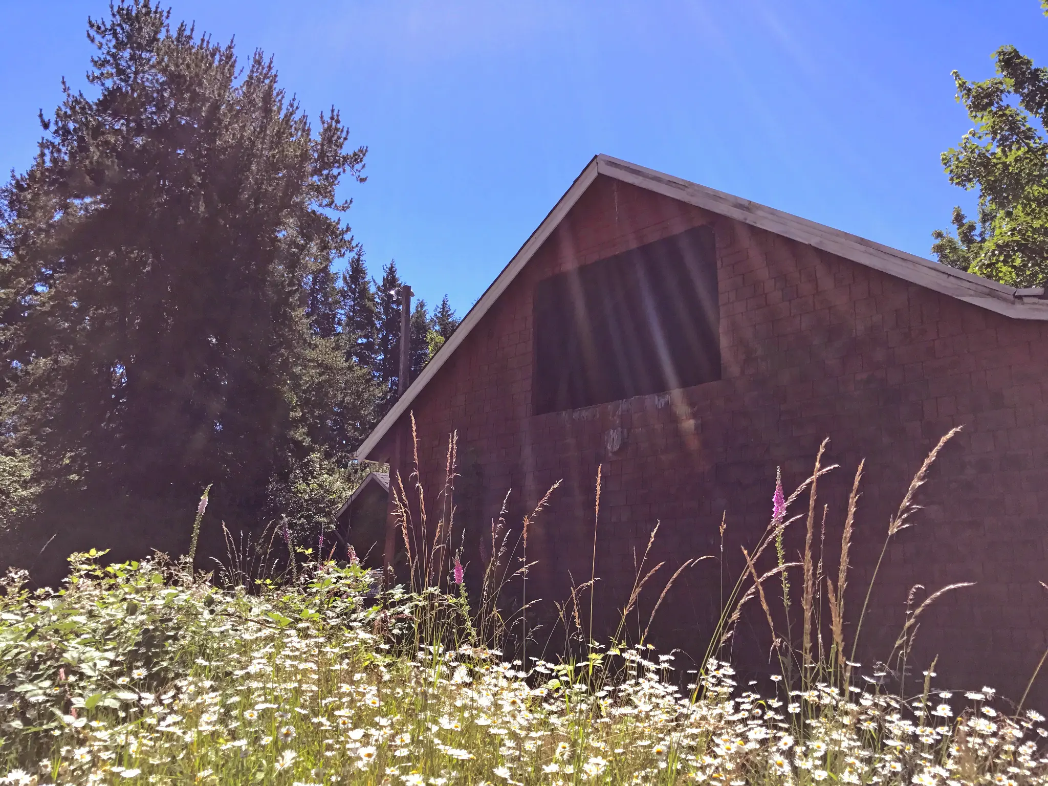 Historic homestead